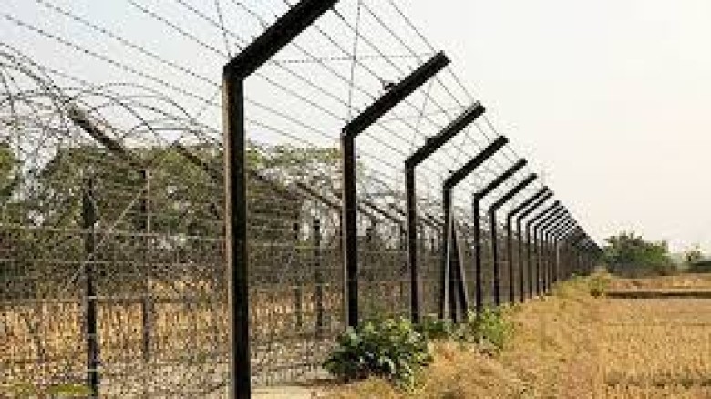 পাটগ্রাম সীমান্ত দিয়ে ২০ জনকে পুশইন...