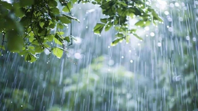 চার বিভাগে ভারি বৃষ্টির আভাস...