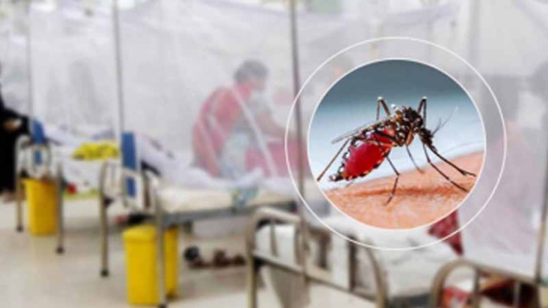 ডেঙ্গু আক্রান্ত হয়ে হাসপাতালে আরও ৬৫৯ জন