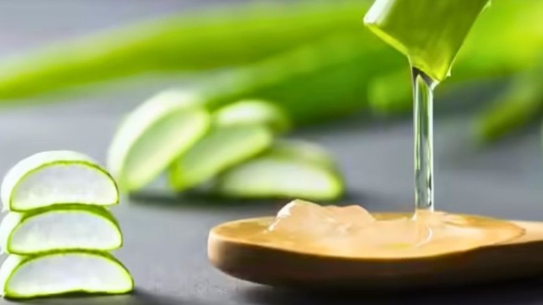 কী হতে পারে অ্যালোভেরার পাতা কেটে সরাসরি মুখে মাখলে