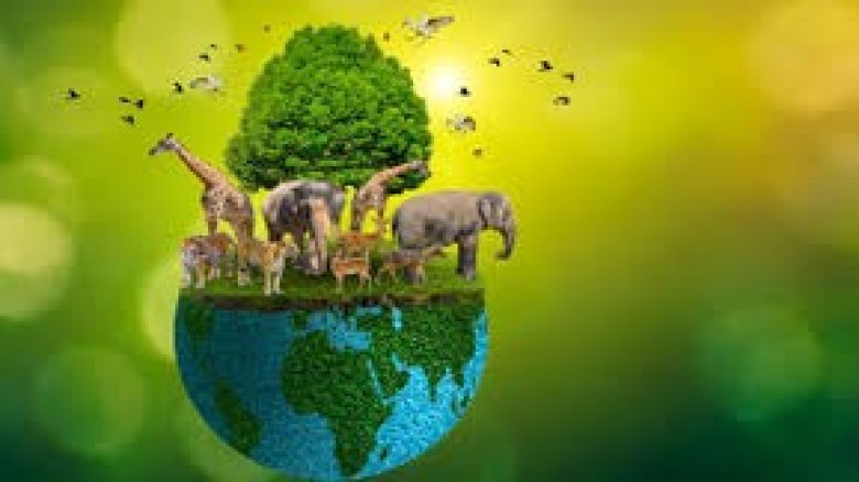 কষ্টদায়ক প্রাণী হত্যার ইসলামের নীতিমালা  কষ্টদায়ক প্রাণী হত্যার ইসলামের নীতিমালা