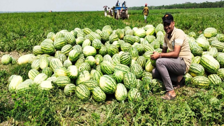 ছবি মিরর