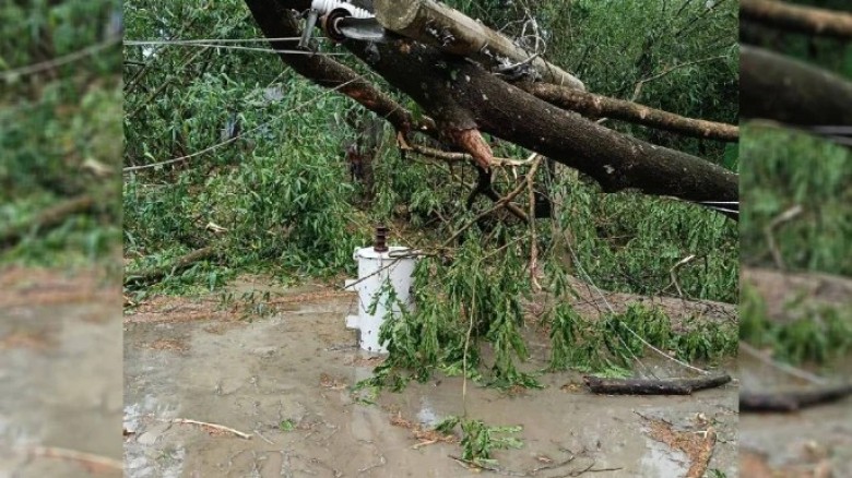 যশোরে কালবৈশাখীর তাণ্ডব: বজ্রপাতে নিহত ১, আহত ৯