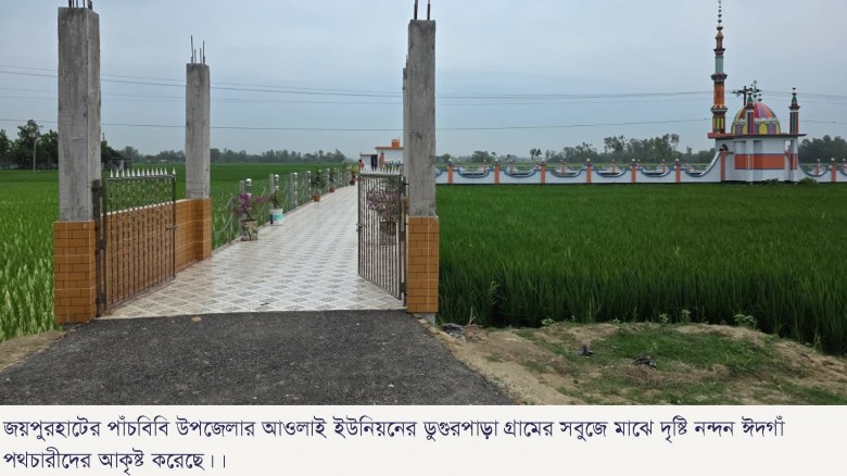 সবুজ ধানক্ষেতের বুকে নান্দনিক ঈদগাঁ, দর্শনার্থীদের নজর কাড়ছে পাঁচবিবির ডুগুরপাড়া