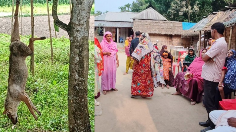 বালিয়াডাঙ্গী সীমান্তে শেয়ালের কামড়ে নারীর মৃত্যু, গ্রামজুড়ে আতঙ্ক