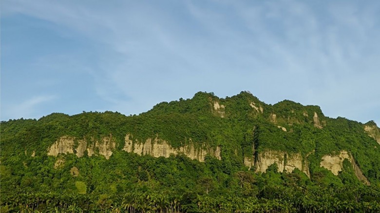 টেকনাফের পাহাড়ি এলাকায় তিন যুবকের মরদেহ উদ্ধার, তদন্তে পুলিশ