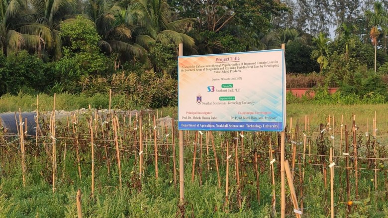 নোবিপ্রবির গবেষণা মাঠে চোরের থাবা: বিপর্যস্ত কৃষি গবেষণা