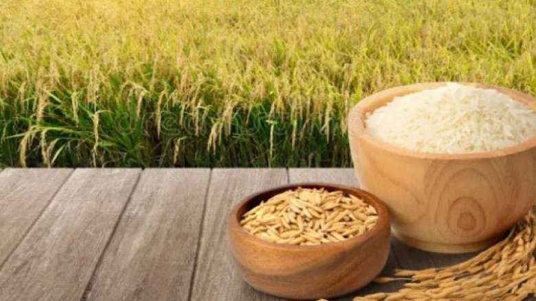 ৩৬ টাকায় ধান, ৪৯ টাকায় সিদ্ধ চাল কিনবে সরকার