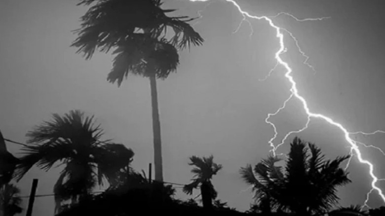 জামালপুরে বজ্রপাতে দুই জনের মৃত্যু