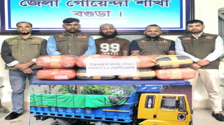 বগুড়ায় বালুভর্তি ট্রাকে মিলল ৮০ কেজি গাঁ