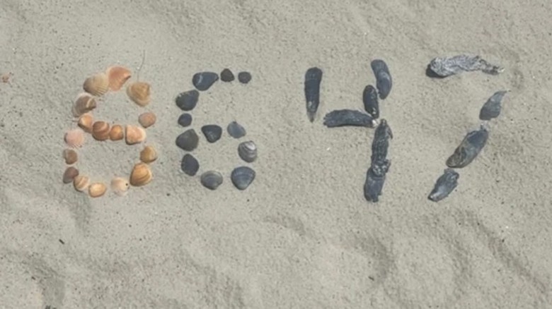 ঝিনুকের খোলসের ছবিকে ঘিরে বিতর্ক, ট্রাম্পকে হুমকির অভিযোগে আইনি চাপে জেমস কোমি