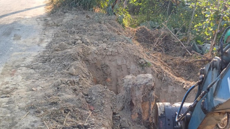 বেড়িবাঁধ সংস্কারে ৩০ বছরের গাছ উপড়ে ফেলার অভিযোগ, ক্ষতিগ্রস্ত স্থানীয়রা