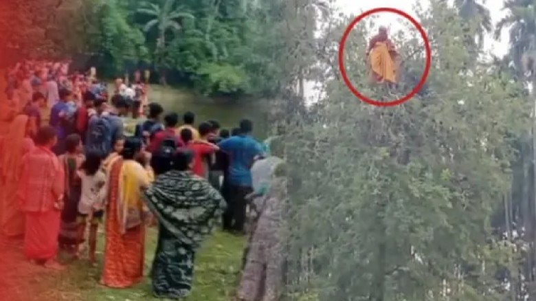 রাতে নিখোঁজ গৃহবধূ, সকালে পাওয়া গেল গাছের মগডালে কেও বলছেন জিনের আসর