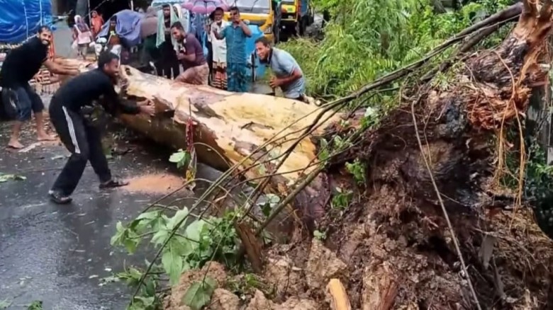 জয়পুরহাটে কালবৈশাখীর তাণ্ডব: শিলাবৃষ্টিতে বোরো ধান লণ্ডভণ্ড, বিদ্যুৎ ও সড়ক যোগাযোগে বিপর্যয়