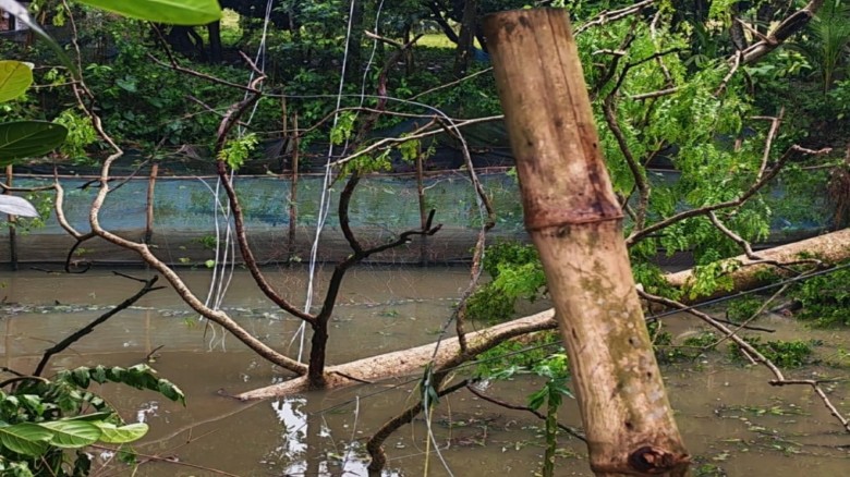 কালবৈশাখীর ঝড়ে লণ্ডভণ্ড বিদ্যুৎ লাইন,৭৫ গ্রামে চরম ভোগান্তি
