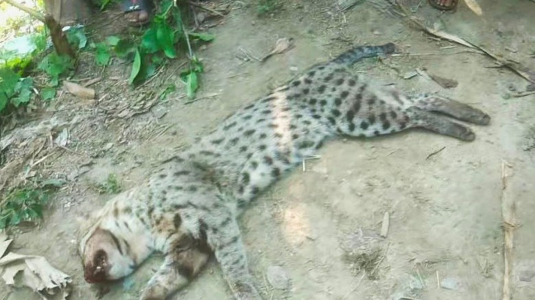 ছবি : সংগৃহীত