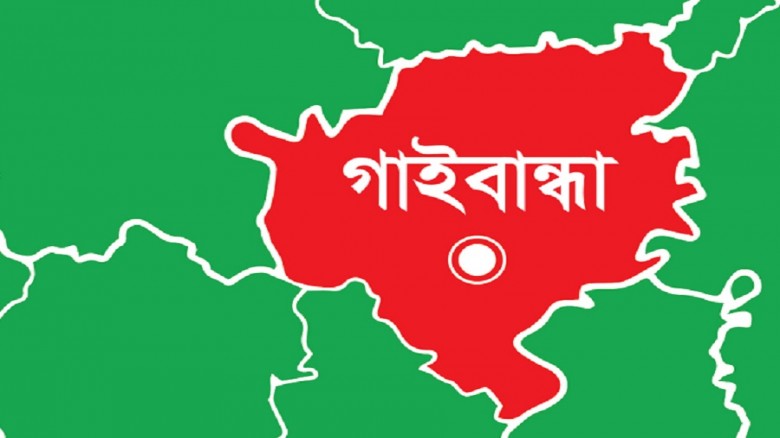 কুকুরের কামড়ে মৃত্যুর সংখ্যা বেড়ে ৫, সুন্দরগঞ্জ জুড়ে আতঙ্ক